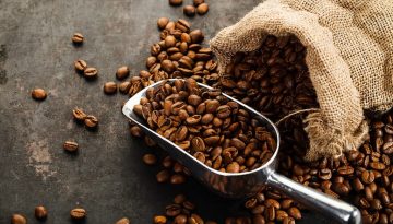 Coffee Island: &Sigma;&tau;&rho;&alpha;&tau;&eta;&gamma;&iota;&kappa;ή &pi;&rho;&omicron;&tau;&epsilon;&rho;&alpha;&iota;ό&tau;&eta;&tau;&alpha; &eta;  &epsilon;&pi;έ&kappa;&tau;&alpha;&sigma;&eta; &sigma;&tau;&omicron; &epsilon;&xi;&omega;&tau;&epsilon;&rho;&iota;&kappa;ό