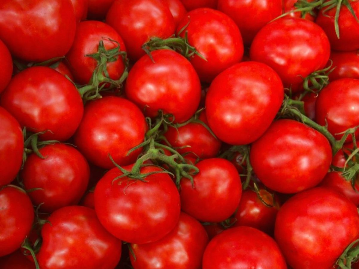 Υψηλός δανεισμός με συνεχιζόμενες ζημίες για τη Damavand