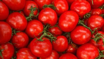 Υψηλός δανεισμός με συνεχιζόμενες ζημίες για τη Damavand