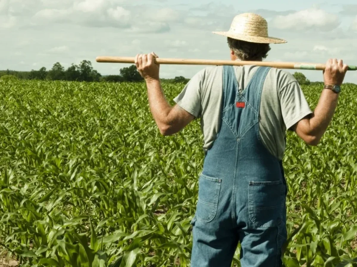 Κίνδυνος για τα τρόφιμα και νέος «βραχνάς» για τους αγρότες με έκρηξη τιμών λόγω Μέσης Ανατολής