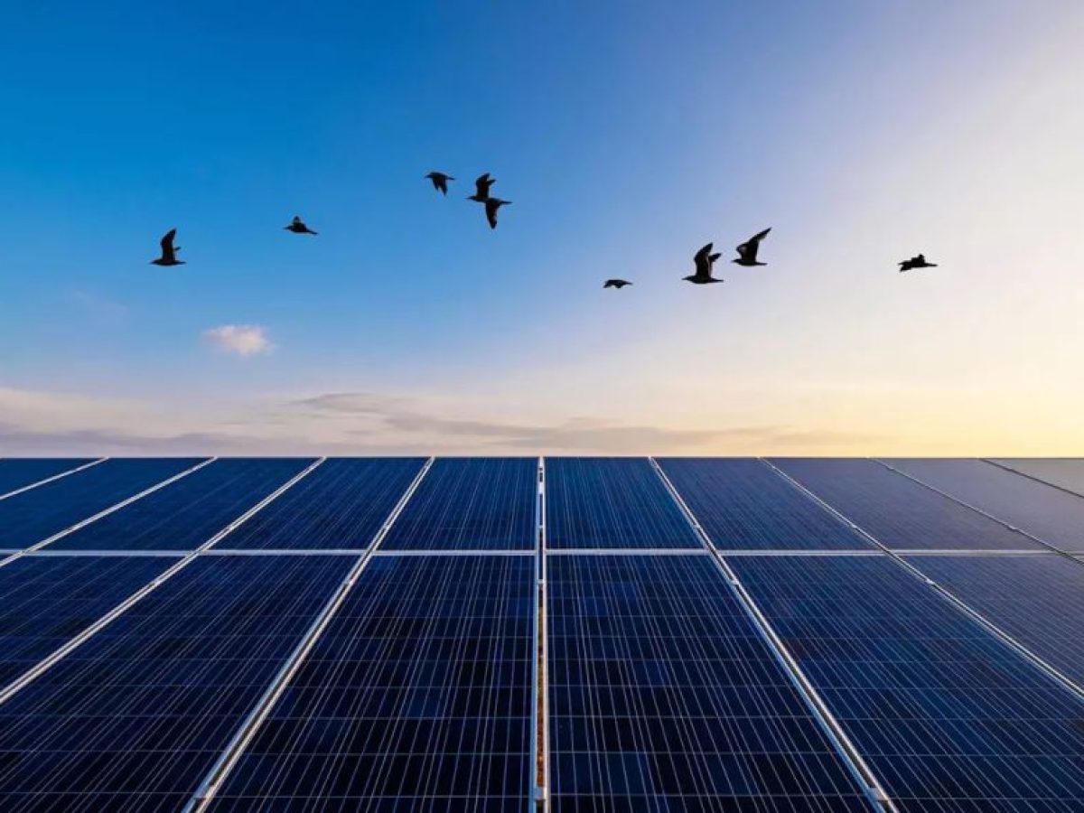 Γιατί απέτυχε ο διαγωνισμός για τις ΑΠΕ του προγράμματος Απόλλων, που έχουν στόχο φθηνότερο ηλεκτρικό ρεύμα για ευάλωτους καταναλωτές