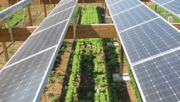 Η Πειραιώς ενισχύει τις επενδύσεις σε αγροφωτοβολταϊκούς σταθμούς