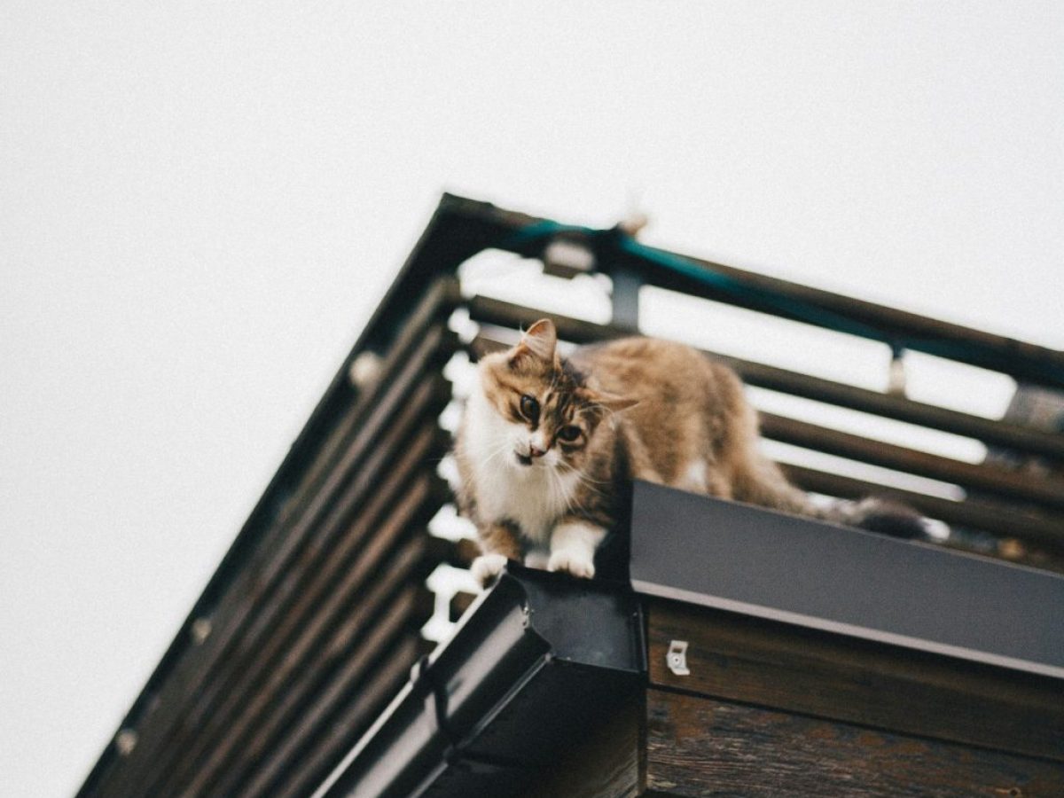 Μέτρα για το στεγαστικό: Τι προτείνουν οι ευρωβουλευτές