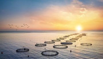 Η Cooke αποκτά το χρέος και τον έλεγχο της Avramar Ελλάδας