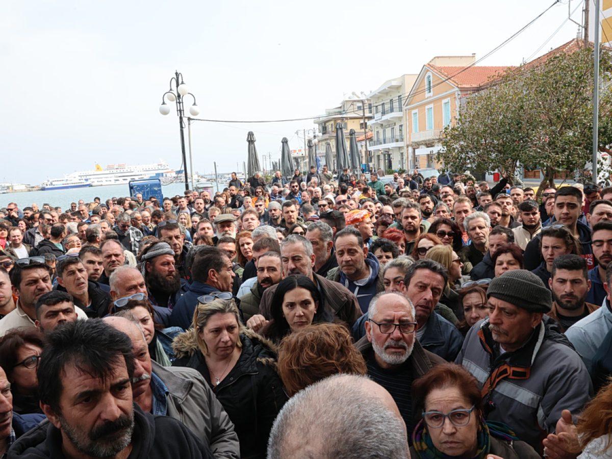 Λέσβος: «Βόμβα» στα θεμέλια της κτηνοτροφίας ο αφθώδης πυρετός – Σε απόγνωση οι παραγωγοί