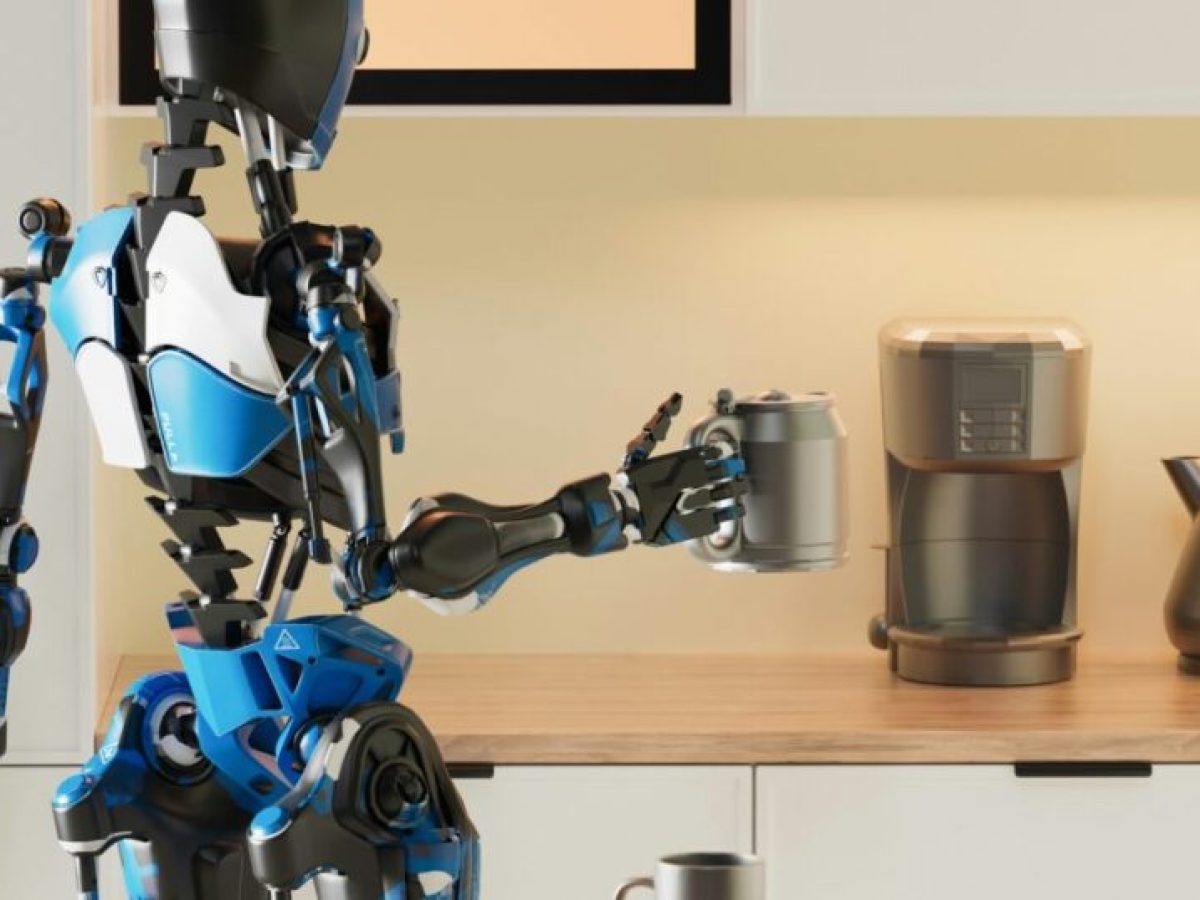 Η ενσάρκωση της νοημοσύνης – η αναδυόμενη εποχή των ανθρωποειδών ρομπότ