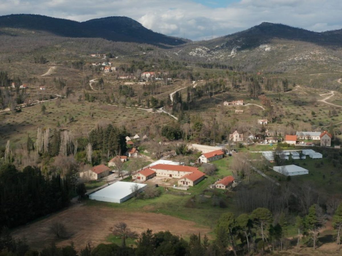 Τατόι: Αυτοί είναι οι 5 «μνηστήρες» για την 65ετή παραχώρηση των πρώην βασιλικών κτημάτων