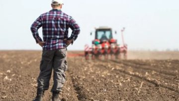 ΑΑΔΕ: Άνοιξαν οι αιτήσεις για επιστροφή ΦΠΑ αγροτών ειδικού καθεστώτος