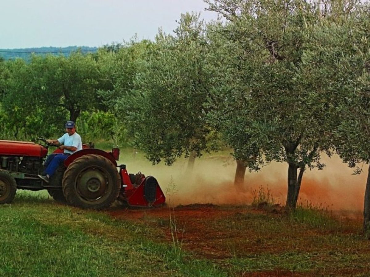 ΑΑΔΕ: Ολοκληρώθηκε η πληρωμή της α’ δόσης επιστροφής ΕΦΚ αγροτικού πετρελαίου