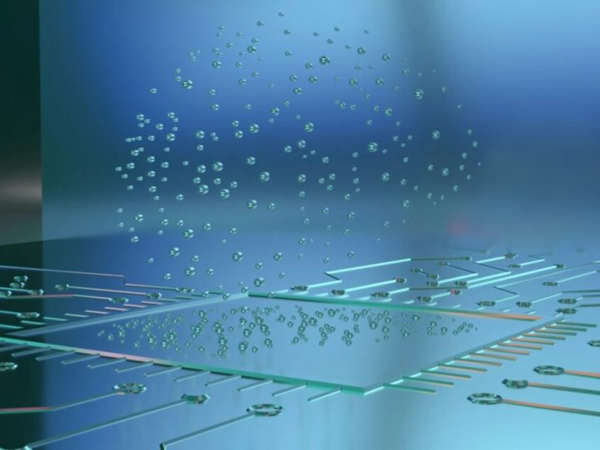 Πέντε υποτιμημένες δεξιότητες που αυξάνουν αποδοτικά τις αμοιβές σας το 2026