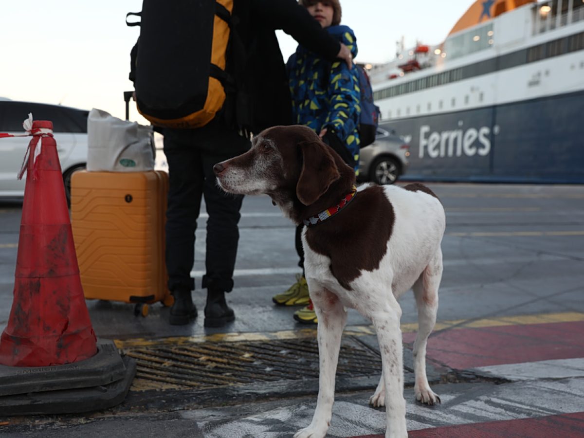 Πάσχα 2026: Η μεγάλη έξοδος ξεκίνησε – Πόσο κοστίζει το ταξίδι σε καύσιμα, διόδια, ΚΤΕΛ