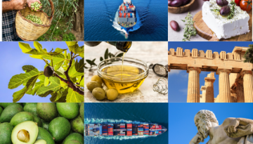 Σημαντικές πιέσεις στις εξαγωγικές επιχειρήσεις – «Καμπανάκι» ΣΕΒΕ για κόστος και ανταγωνιστικότητα