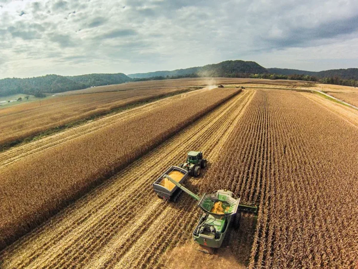 ΑΑΔΕ: Άνοιξε η πλατφόρμα για επιστροφή ΦΠΑ στους αγρότες ειδικού καθεστώτος