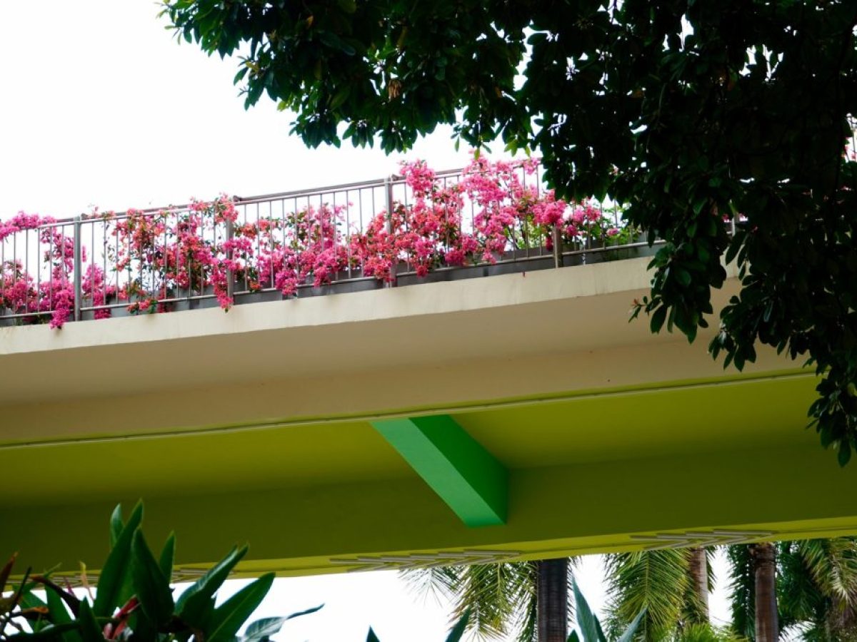 Ξεκίνησε η αντίστροφη μέτρηση για τα δάνεια του προγράμματος «Σπίτι μου ΙΙ»