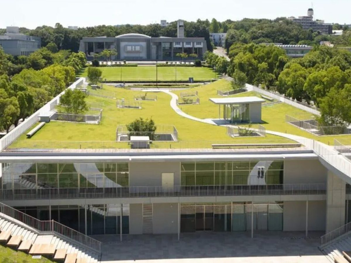 Από το Ανατόλια στη Γαλλία και την Ιαπωνία, τα μυστικά της επιτυχίας δύο μαθητών