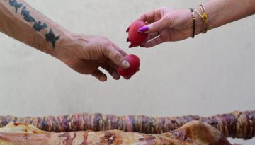 &Alpha;&iota;&sigma;&theta;&eta;&tau;ά &alpha;&upsilon;&xi;&eta;&mu;έ&nu;&omicron; &tau;&omicron; &kappa;ό&sigma;&tau;&omicron;&sigmaf; &gamma;&iota;&alpha; &tau;&omicron; &phi;&epsilon;&tau;&iota;&nu;ό &pi;&alpha;&sigma;&chi;&alpha;&lambda;&iota;&nu;ό &tau;&rho;&alpha;&pi;έ&zeta;&iota; (&Phi;&Omega;&Tau;&Omicron;)