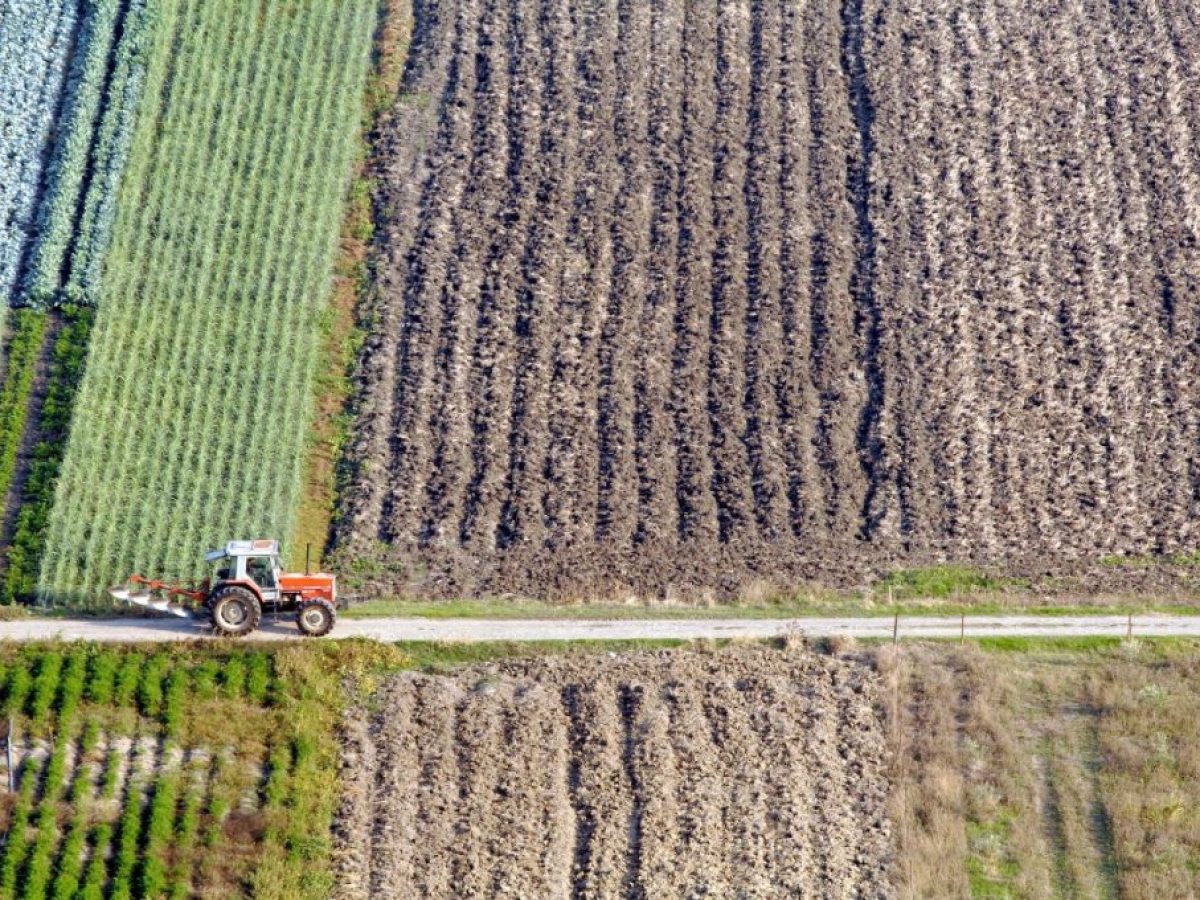 Η νέα ΚΑΠ φέρνει ανατροπές στο τοπίο των αγροτικών ενισχύσεων – Τι αλλάζει