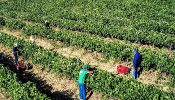 AA&Delta;&Epsilon;: &Zeta;&eta;&tau;ά &epsilon;&pi;&iota;&sigma;&tau;&rho;&omicron;&phi;ή &alpha;&gamma;&rho;&omicron;&tau;&iota;&kappa;ώ&nu; &epsilon;&nu;&iota;&sigma;&chi;ύ&sigma;&epsilon;&omega;&nu; 16,3 &epsilon;&kappa;&alpha;&tau;. &epsilon;&upsilon;&rho;ώ &gamma;&iota;&alpha; &tau;&omicron; έ&tau;&omicron;&sigmaf; 2023