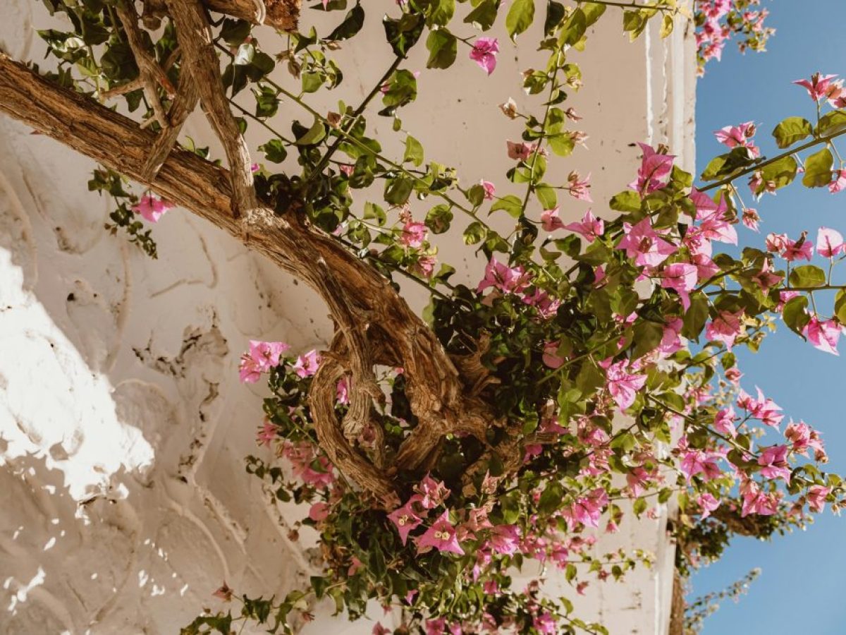 Νέες απαλλαγές και επιστροφές ΕΝΦΙΑ για χιλιάδες ιδιοκτήτες ακινήτων