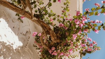 &Nu;έ&epsilon;&sigmaf; &alpha;&pi;&alpha;&lambda;&lambda;&alpha;&gamma;έ&sigmaf; &kappa;&alpha;&iota; &epsilon;&pi;&iota;&sigma;&tau;&rho;&omicron;&phi;έ&sigmaf; &Epsilon;&Nu;&Phi;&Iota;&Alpha; &gamma;&iota;&alpha; &chi;&iota;&lambda;&iota;ά&delta;&epsilon;&sigmaf; &iota;&delta;&iota;&omicron;&kappa;&tau;ή&tau;&epsilon;&sigmaf; &alpha;&kappa;&iota;&nu;ή&tau;&omega;&nu;