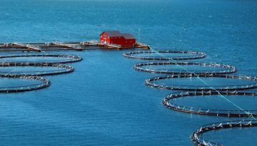 &Kappa;&rho;&alpha;&tau;&iota;&kappa;ή &epsilon;&nu;ί&sigma;&chi;&upsilon;&sigma;&eta; &sigma;&epsilon; &alpha;&lambda;&iota;&epsilon;ί&alpha; &kappa;&alpha;&iota; &upsilon;&delta;&alpha;&tau;&omicron;&kappa;&alpha;&lambda;&lambda;&iota;έ&rho;&gamma;&epsilon;&iota;&alpha; &ndash; &Omicron;&iota; &alpha;&nu;&alpha;&kappa;&omicron;&iota;&nu;ώ&sigma;&epsilon;&iota;&sigmaf; &tau;&eta;&sigmaf; &Kappa;&omicron;&mu;&iota;&sigma;&iota;ό&nu;