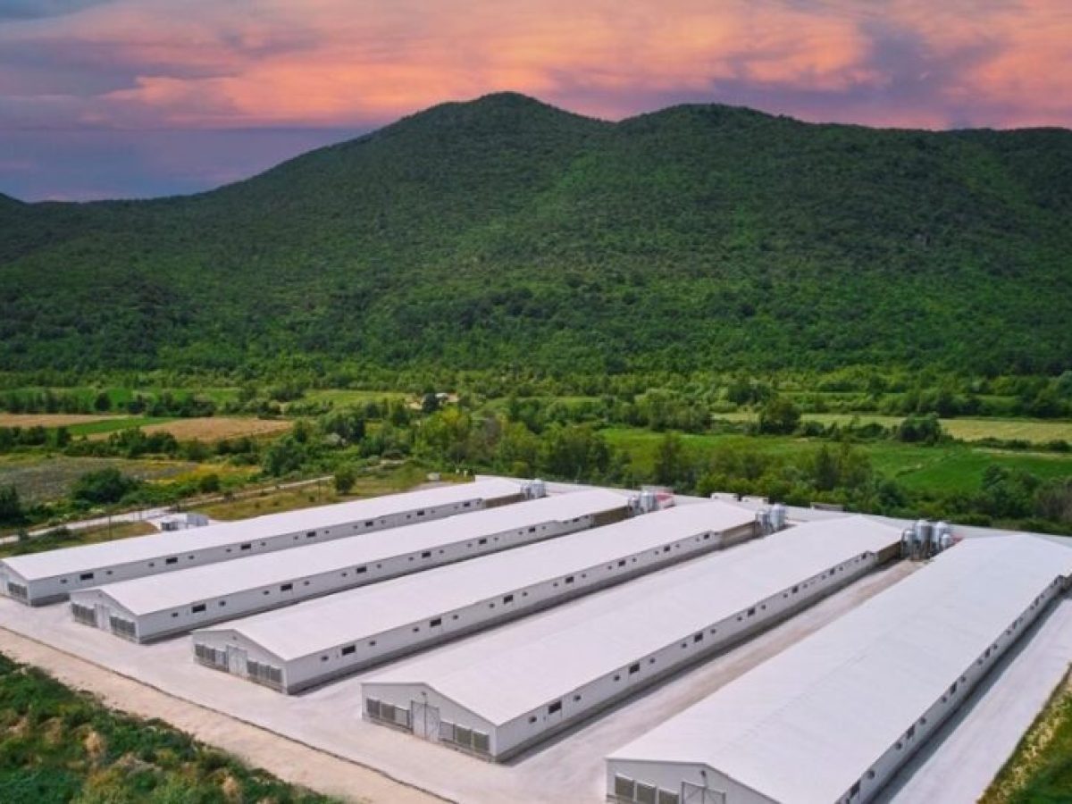 Η Νιτσιάκος εξαγοράζεται από την ΜΗΡ: Ποια είναι η ουκρανική εταιρεία που αποκτά το 70%