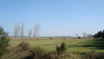 &Chi;&alpha;&lambda;&kappa;&iota;&delta;&iota;&kappa;ή: &Xi;&epsilon;&kappa;&iota;&nu;ά &eta; &upsilon;&lambda;&omicron;&pi;&omicron;ί&eta;&sigma;&eta; &tau;&omicron;&upsilon; &alpha;&gamma;&rho;&omicron;&tau;&omicron;&upsilon;&rho;&iota;&sigma;&tau;&iota;&kappa;&omicron;ύ &chi;&omega;&rho;&iota;&omicron;ύ &sigma;&tau;&eta; &Sigma;ά&nu;&eta; &alpha;&pi;ό &tau;&eta;&nu; &Omicron;&Nu;&Upsilon;&Xi; &ndash; &Sigma;&upsilon;&mu;&phi;&omega;&nu;ί&alpha; &gamma;&iota;&alpha; 230 &epsilon;&kappa;&alpha;&tau;. &epsilon;&upsilon;&rho;ώ &alpha;&pi;ό &tau;&eta;&nu; CrediaBank
