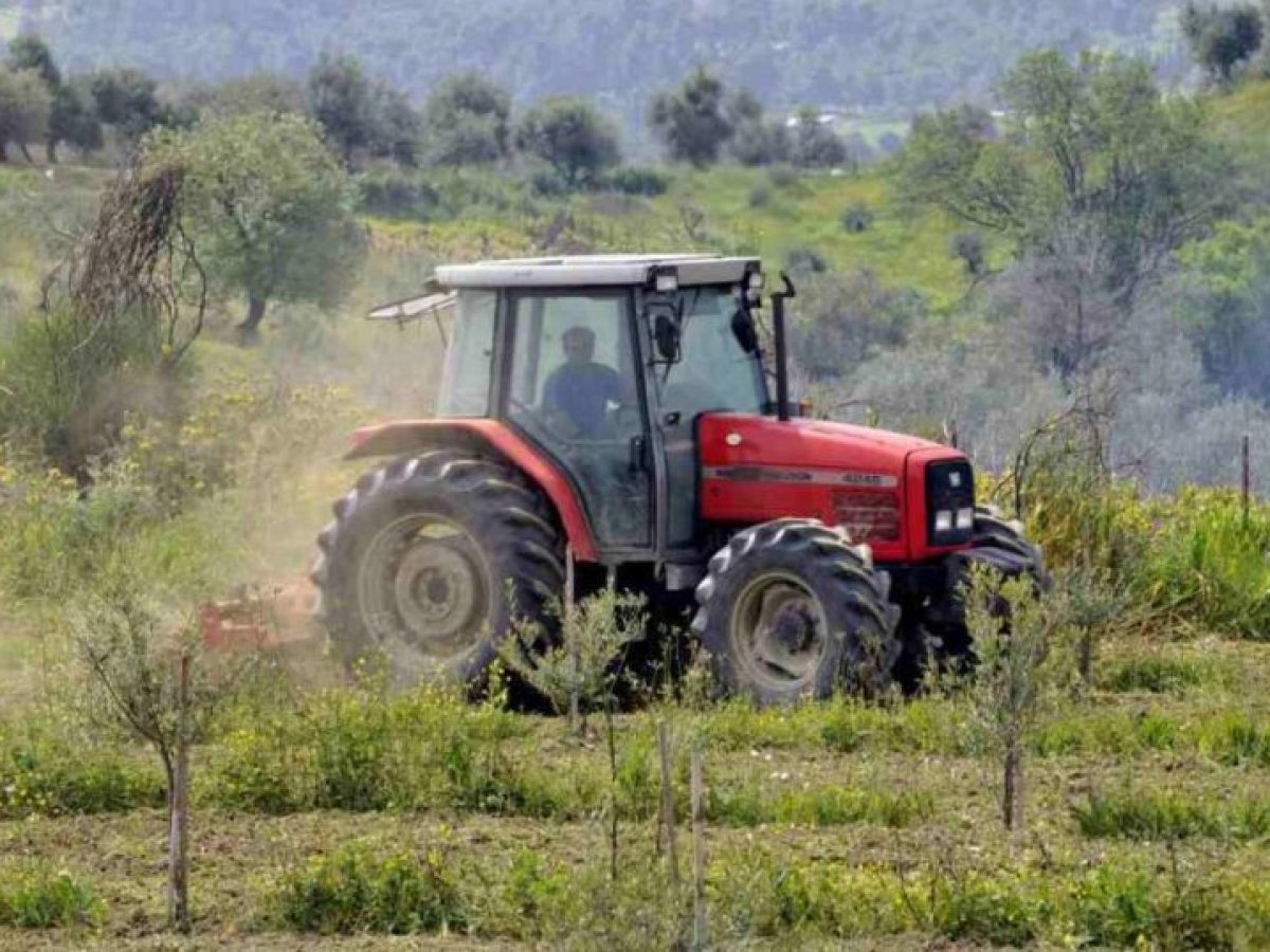 ΑΑΔΕ: Ξεκινά η καταβολή 617,4 εκατ. ευρώ σε πάνω από 1,1 εκατ. δικαιούχους αγροτικών ενισχύσεων