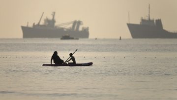 Ορμούζ: Χρυσές δουλειές για δύτες που καθαρίζουν πεταλίδες – Μέχρι και 8.000 δολάρια οι αμοιβές