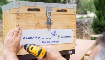 Bee the Change: Η team AEGEAN γιόρτασε την Παγκόσμια Ημέρα Περιβάλλοντος, αναλαμβάνοντας δράση για την προστασία των μελισσών