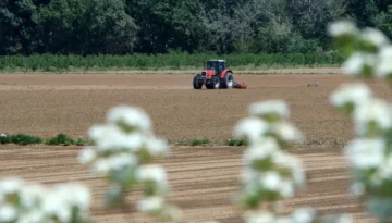 ΕΛΓΑ: Πληρωμές 1,2 εκατ. ευρώ σε 441 δικαιούχους για ζημιές από τις πυρκαγιές του 2022