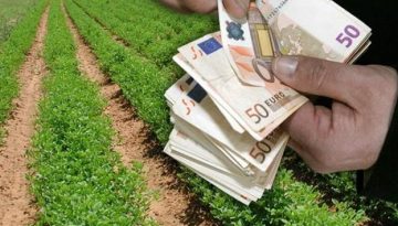 Αγροτικές πληρωμές: Μεγάλο πακέτο ενισχύσεων τη Δευτέρα – Στήριξη 20 εκατ. ευρώ στους ρυζοπαραγωγούς