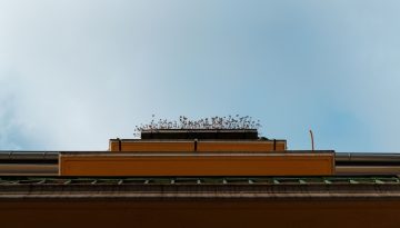&Alpha;&nu;&alpha;&kappa;&alpha;ί&nu;&iota;&sigma;&eta; &kappa;&alpha;&tau;&omicron;&iota;&kappa;ί&alpha;&sigmaf; &epsilon;&pi;&iota;&delta;ό&tau;&eta;&sigma;&eta; 2026: &Pi;ό&tau;&epsilon; &xi;&epsilon;&kappa;&iota;&nu;ά &tau;&omicron; &nu;έ&omicron; &pi;&rho;ό&gamma;&rho;&alpha;&mu;&mu;&alpha;