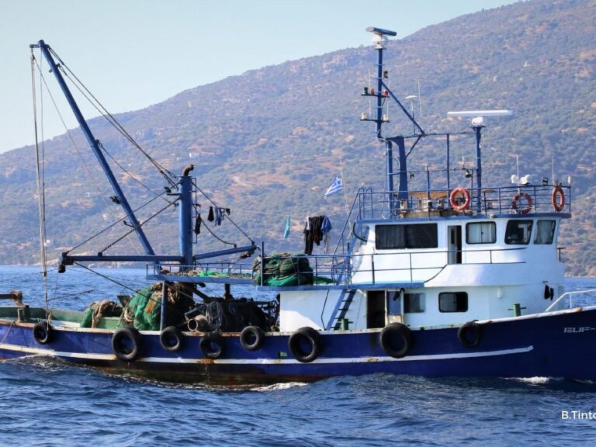 Κόντρα για τις τουρκικές μηχανότρατες στο Αιγαίο: Καταγγελίες για παράνομη αλιεία – Τι απαντά το Λιμενικό