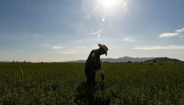 Ώθηση στα εμπορεύματα δίνει ο νέος κύκλος εχθροπραξιών στη Μέση Ανατολή – Άλμα για σόγια και καλαμπόκι