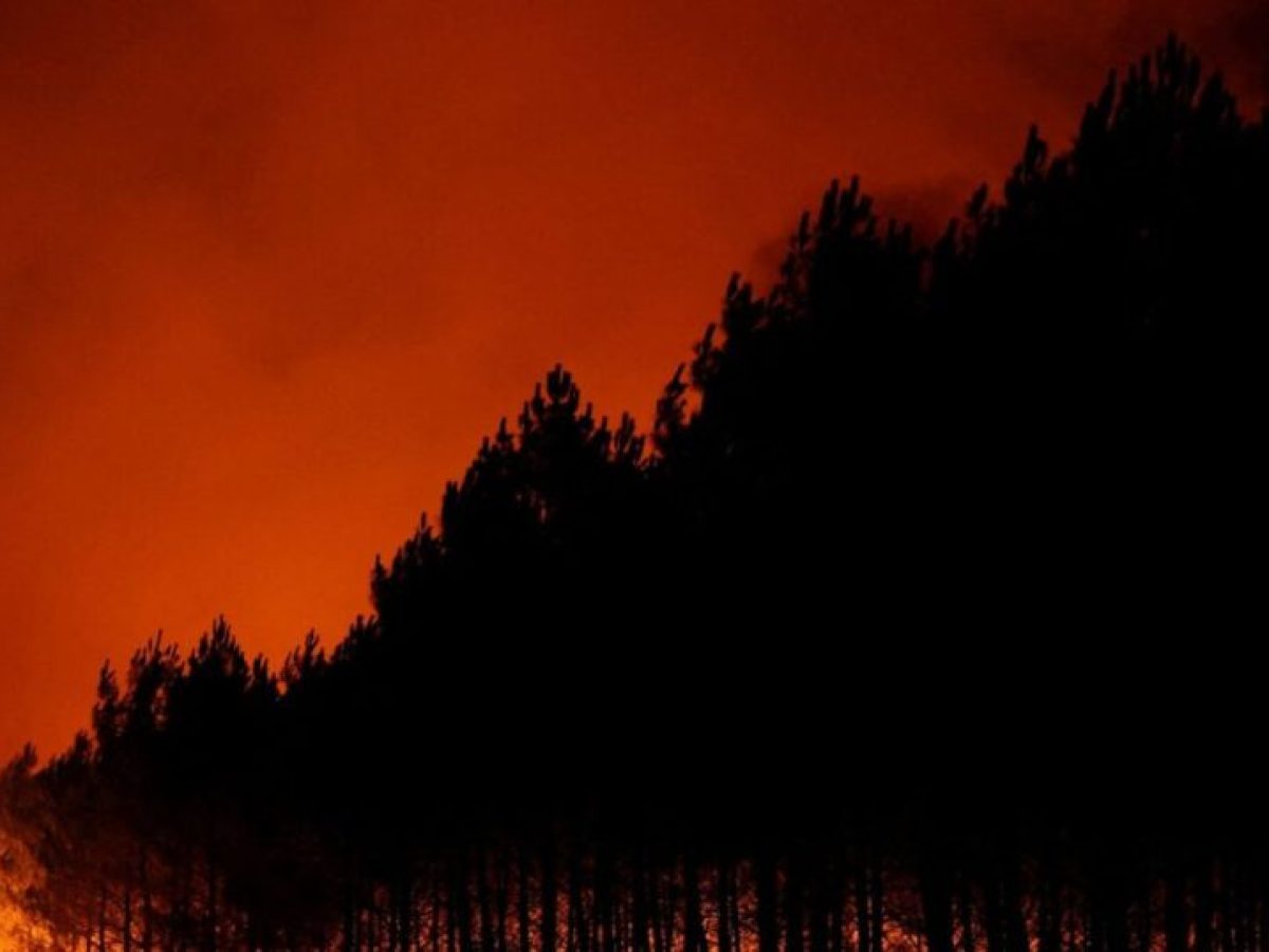 Γαλλία: Οικονομικό πλήγμα από τις πυρκαγιές – 13.000 επιχειρήσεις στις ζώνες εκκένωσης