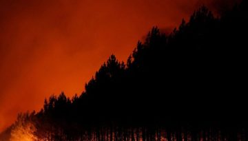 Γαλλία: Οικονομικό πλήγμα από τις πυρκαγιές – 13.000 επιχειρήσεις στις ζώνες εκκένωσης