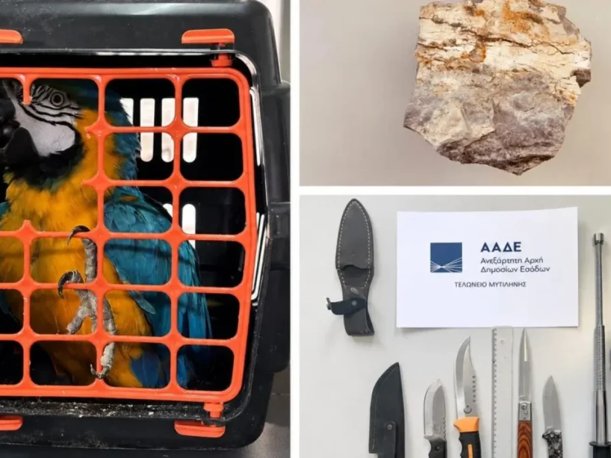 Βαλίτσες γεμάτες χρήμα, εκατομμύρια τσιγάρα και… παπαγάλοι – Τα απίστευτα ευρήματα της ΑΑΔΕ