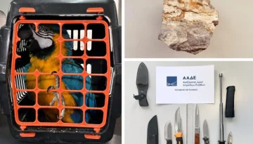 Βαλίτσες γεμάτες χρήμα, εκατομμύρια τσιγάρα και… παπαγάλοι – Τα απίστευτα ευρήματα της ΑΑΔΕ