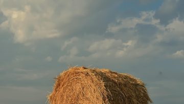 Νέοι Αγρότες: Παράταση για τη δεύτερη δόση – Οι νέες προθεσμίες πληρωμής
