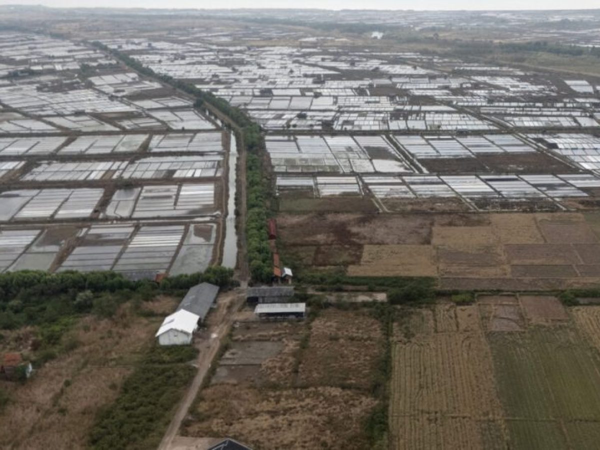 Το Ελ Νίνιο απειλεί την παγκόσμια αγορά τροφίμων – Στο επίκεντρο καφές και κακάο