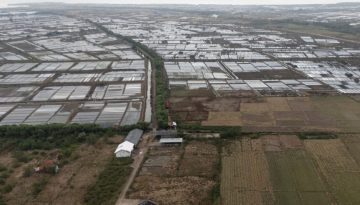 Το Ελ Νίνιο απειλεί την παγκόσμια αγορά τροφίμων – Στο επίκεντρο καφές και κακάο