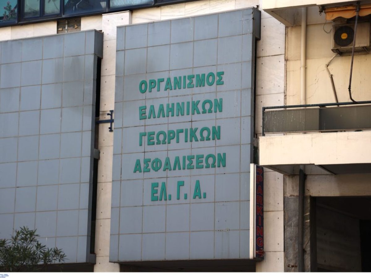 ΕΛΓΑ: Εξήντα προσλήψεις με συμβάσεις εργασίας έως οκτώ μήνες – Οι περιοχές και η προθεσμία για τις αιτήσεις – ertnews.gr
