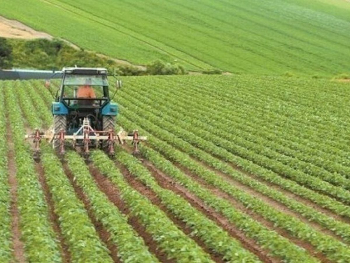 Πληρωμές 33,58 εκατ. ευρώ σε 67.746 αγρότες για λιπάσματα