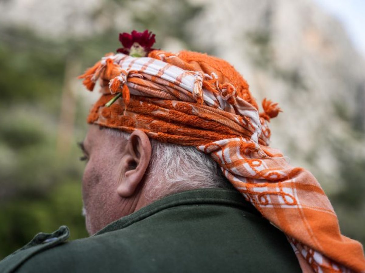 ΑΑΔΕ: Άνοιξε το Transpay για τις αγροτικές ενισχύσεις του 2025 | Alphafreepress.gr