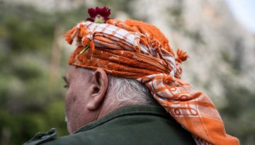 ΑΑΔΕ: Άνοιξε το Transpay για τις αγροτικές ενισχύσεις του 2025 | Alphafreepress.gr