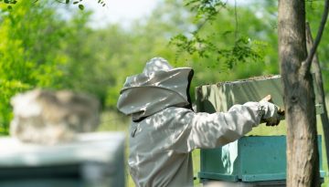 Επίδομα έως 1.475 ευρώ για ανέργους που θα εκπαιδευτούν στη μελισσοκομία | Alphafreepress.gr