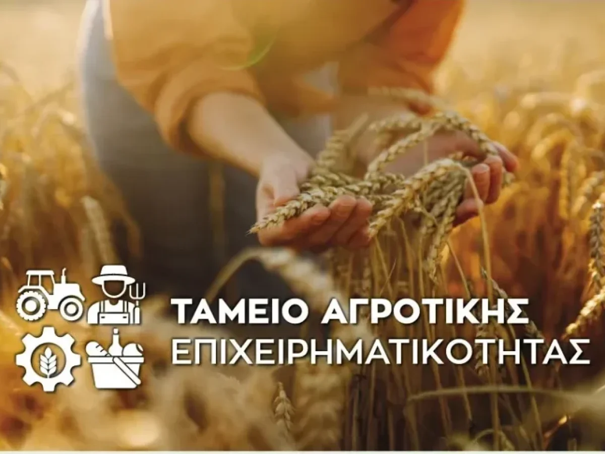 Ταμείο Αγροτικής Επιχειρηματικότητας: Δάνεια 250 εκατ. ευρώ για παραγωγούς και επιχειρήσεις | Ειδήσεις