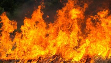 Servicers: Ποια μέτρα ανακούφισης λαμβάνουν για τους πληγέντες από τις πυρκαγιές