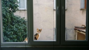 Κλειστά σπίτια: Έως τις 31 Δεκεμβρίου η μίσθωση για τριετή φοροαπαλλαγή στα ενοίκια | Alphafreepress.gr
